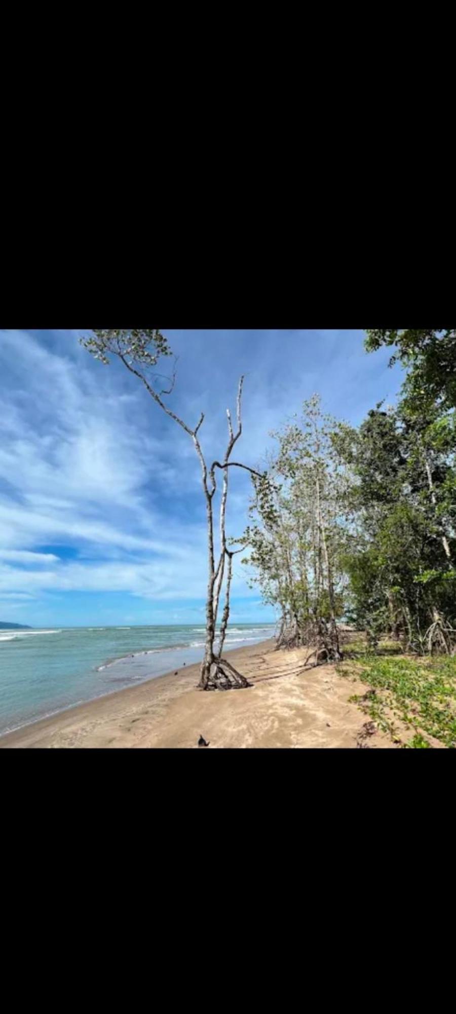 The Mangrove Villa Sematan Exterior foto
